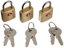 Lewis N. Clark TSA-Approved Mini Brass Square Luggage Padlock, Gold, One Size