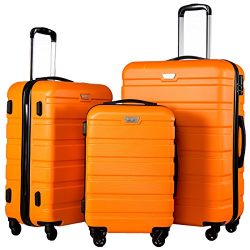 Coolife Luggage 3 Piece Set Spinner Trolley Suitcase Hard Shell Lightweight Carried On Trunk 20i ...