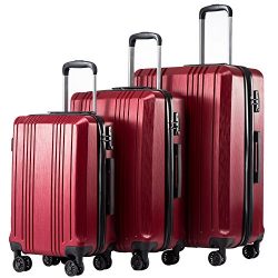 Coolife Luggage Expandable Suitcase 3 Piece Set with TSA Lock Spinner 20in24in28in (wine red3)