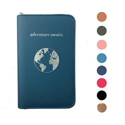 Phone Charging Passport Holder Travel Case w/ Power Bank-iPhone, Galaxy & More-RFID (Cerulean)