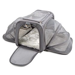 Jet Sitter Luxury Expandable Pet Carrier V2 – Airline Approved, Dogs and Cats, TSA airplan ...