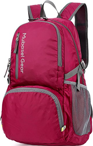 Backpack – Lightweight Backpacks for Travel Hiking – Daypack for Women Men (Plum)