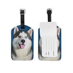 My Daily Cute Husky Dog Luggage Tag PU Leather Bag Tag Travel Suitcases ID Identifier Baggage Label