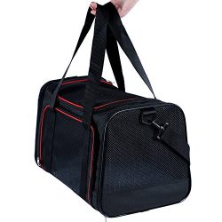 A4Pet Collapsible Pet Travel Carrier for Medium Cat and Puppy