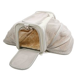 Jet Sitter Wings Expandable Soft Sided Dog Cat Pet Carrier – Airline Approved Airplane Cat ...