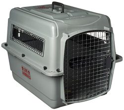 Petmate Sky Kennel for Pets from 25 to 30-Pound, Light Gray