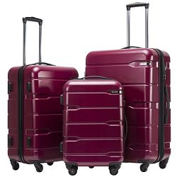 Coolife Luggage 3 Piece Sets PC+ABS Spinner Suitcase 20 inch 24 inch 28 inch (Radiant Pink)