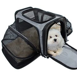 Pet Carrier for Dogs & Cats – Airline Approved Expandable waterproof Soft Animal Carri ...