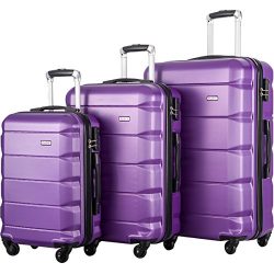 FLIEKS Luggages 3 Piece Luggage Set Spinner Suitcase (Purple)