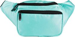 SoJourner Bags Fanny Pack – Classic Solid Bright Colors (Teal)