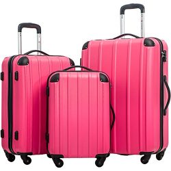 Merax Travelhouse 3 Piece Spinner Luggage Set with TSA Lock (Rose & Black)