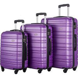 FLIEKS Luggages 3 Piece Luggage Set Spinner Suitcase (Purple)