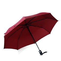 Geekerbuy Windproof Umbrella Compact Travel Umbrella Automatic Open and Close Rain Gear for Wome ...