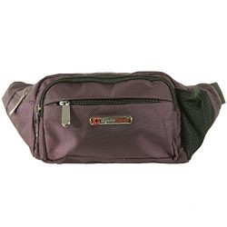 Alpine Swiss Fanny Pack Travel Case Adjustable Belt Sport Pouch Waist Bag Purple