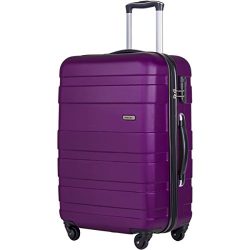 Merax Afuture 20 24 28 inch Luggage Lightweight Spinner Suitcase (28-Consignment, Purple)