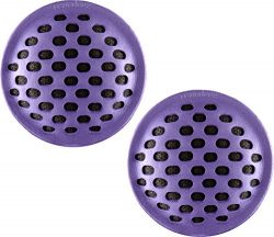 remodeez On-the-Go Deodorizer: Charcoal Odor and Moisture Remover, Purple (2 Pack)