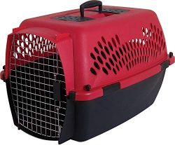 Aspen Pet Porter Heavy-Duty Pet Carrier with Secure Lock, 9 Sizes, 13 Colors