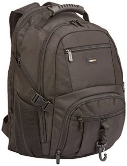 AmazonBasics Premium Backpack