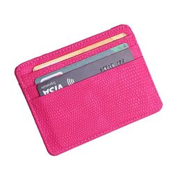 Fashion Women Lichee Pattern Bank Card Pack Document Bag Purse (Hot Pink)