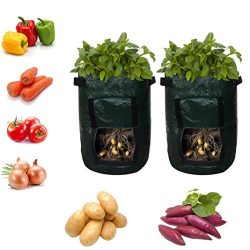 Cinhent Bag 2PCS Newly Home & Garden Potato Tomatoes Eco-Friendly Plant, Container for Plant ...