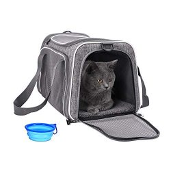 petisfam Pet Carrier for Cats and Dogs Up to 16 lbs