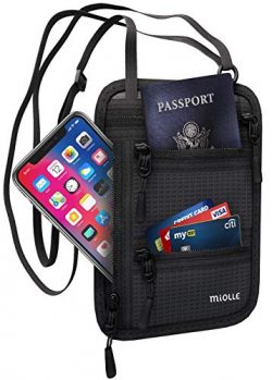 Neck Wallet – Passport Holder – Rfid Travel Pouch – Anti Theft Waterproof Secu ...