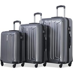 Flieks Luggage 3 Piece Sets Spinner Suitcase with TSA Lock, Lightweight 20 24 28 in (Grey)