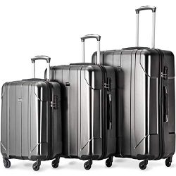 Merax Luggage 3 Piece Set P.E.T Luggage Spinner Suitcase Lightweight 20 24 28inch (gray)