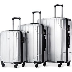 Merax Luggage 3 Piece Set P.E.T Luggage Spinner Suitcase Lightweight 20 24 28inch (Space Silver)