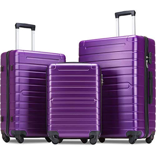 Flieks Luggage Sets 3 Piece Spinner Suitcase Lightweight 20 24 28 inch (Purple)