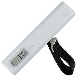 GreaterGoods Digital Luggage Travel Scale, 110 Pound 50 Kg Capacity