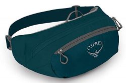 Osprey Packs Daylite Waist Pack