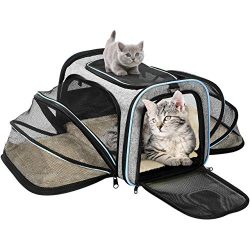 OMORC Pet Carrier Airline Approved, Expandable Foldable Soft-Sided Dog Carrier, 3 Open Doors, 2  ...