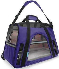 Paws & Pals Airline Approved Pet Carrier – Soft-Sided Carriers for Small Medium Cats a ...