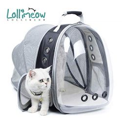 Lollimeow Pet Carrier Backpack, Bubble Backpack Carrier, Cats and Puppies,Airline-Approved, Desi ...